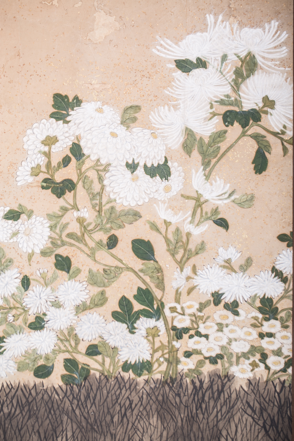 Japanese Six Panel Screen Chrysanthemums and Twig Fence with Gold
