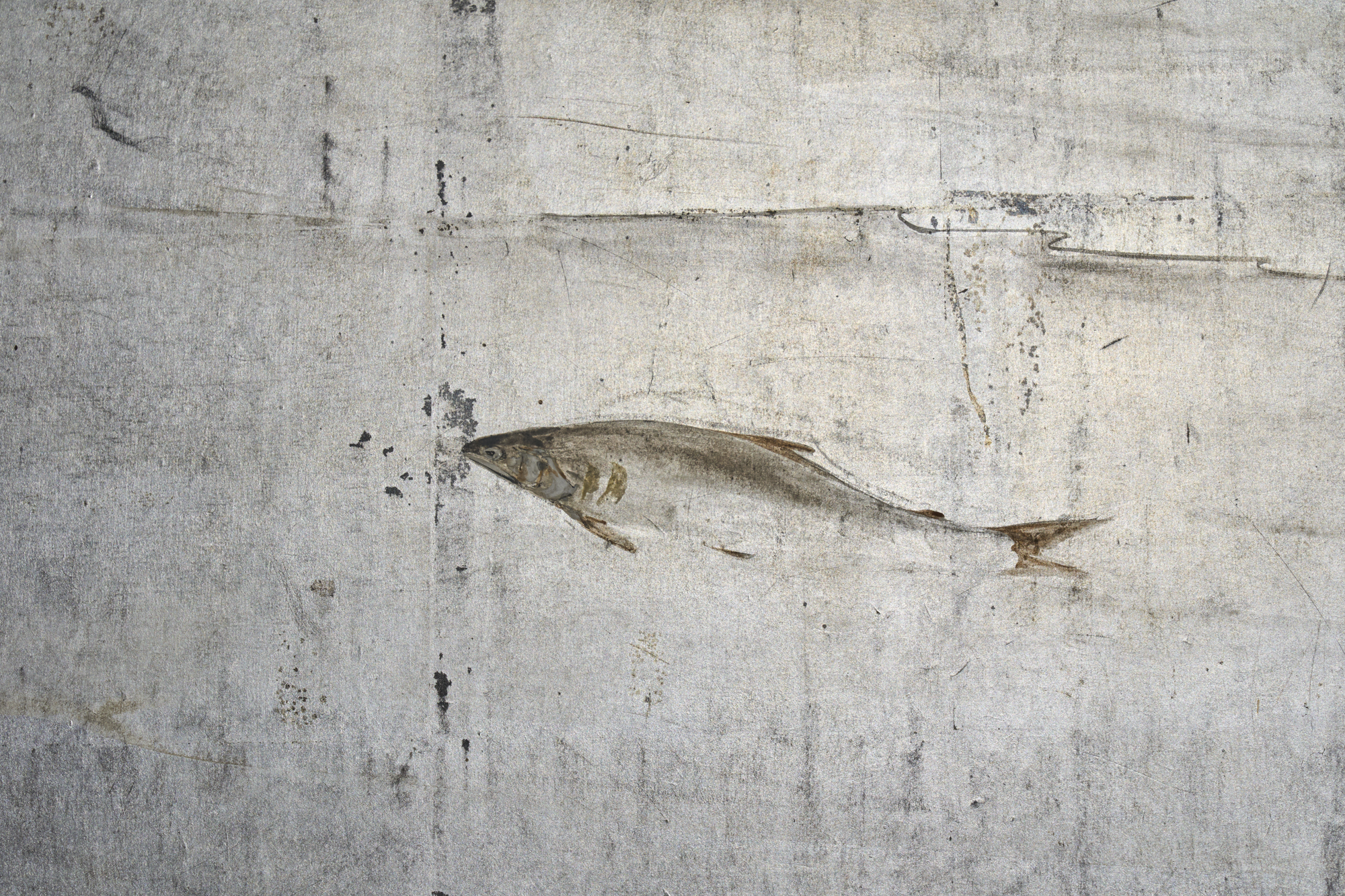 Japanese Six Panel Screen – Maple Over Water