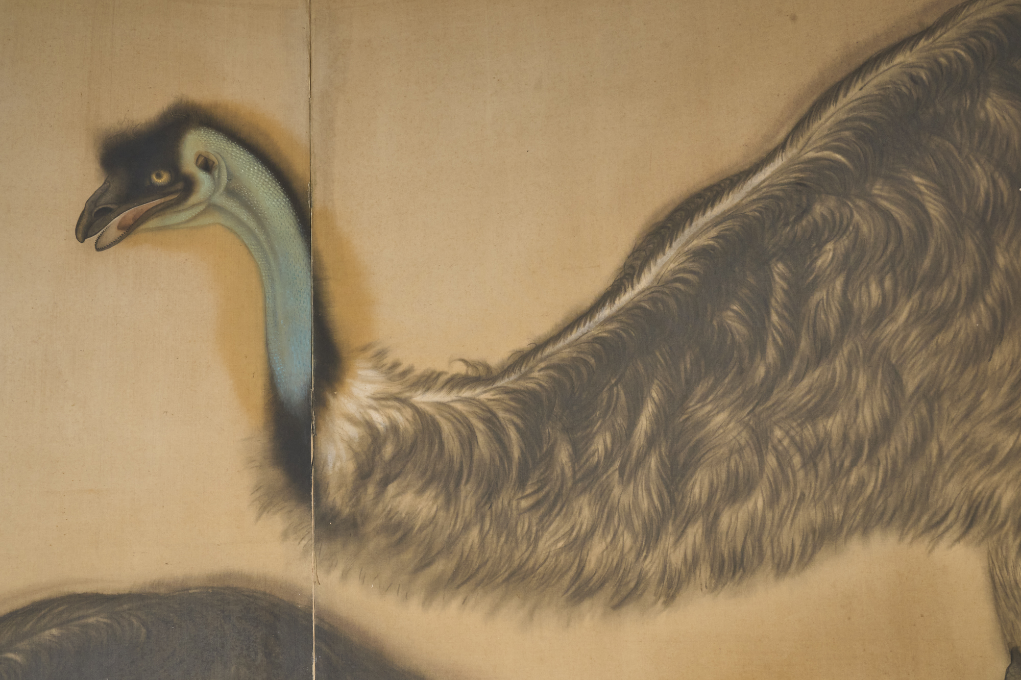 Japanese Two Panel Screen: Emu in Flowering Cactus