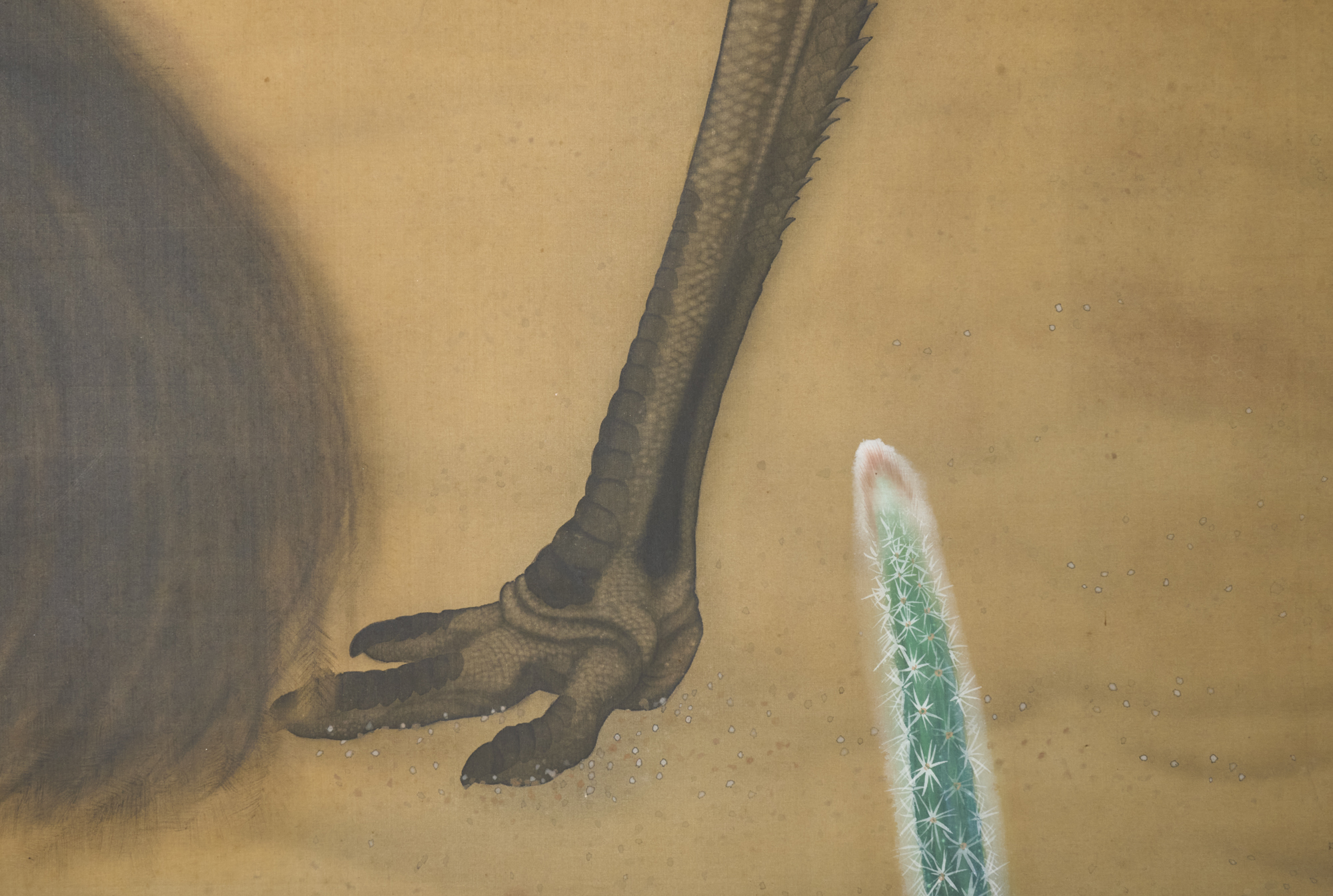 Japanese Two Panel Screen: Emu in Flowering Cactus