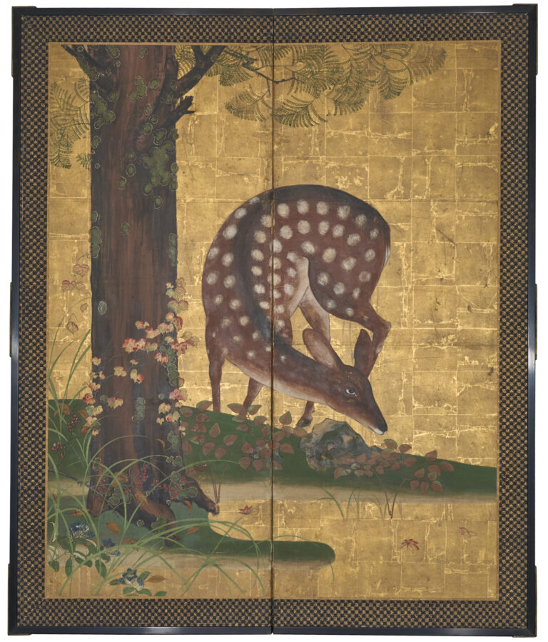 S2081_001_front