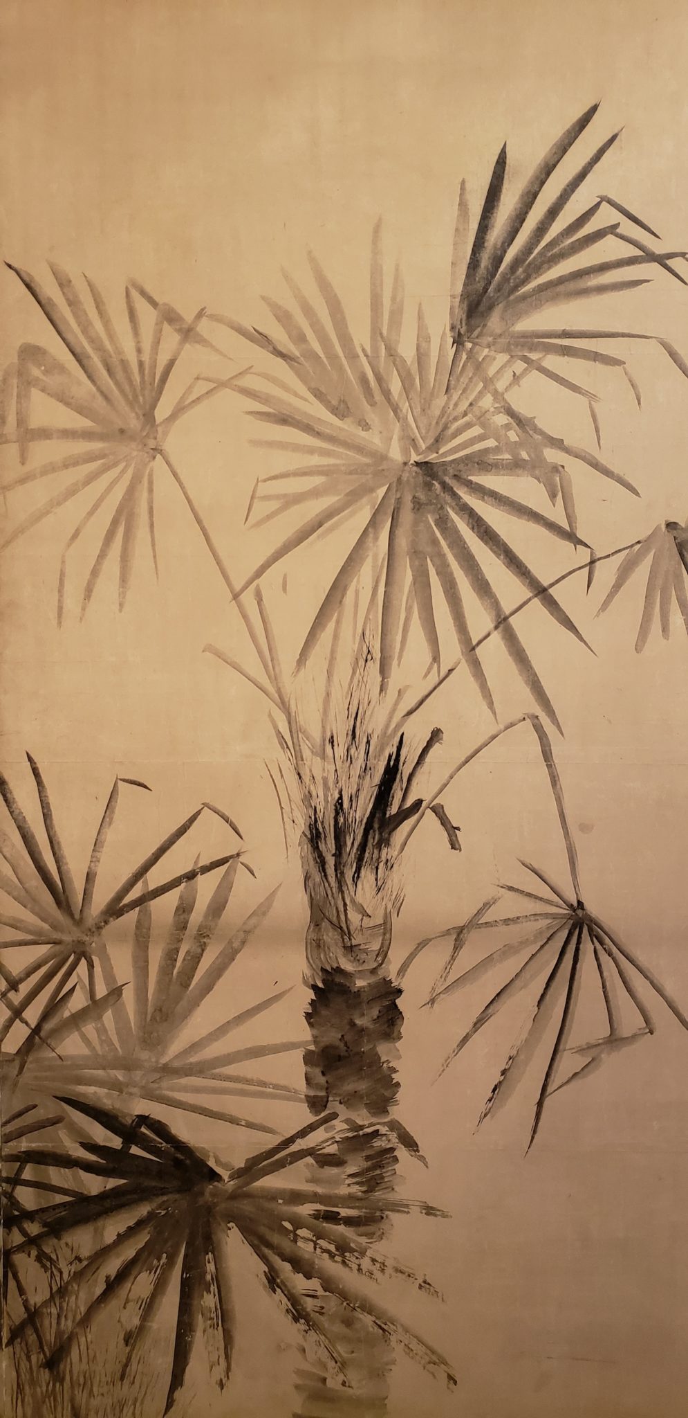 Pair of Japanese Two Panel Screens: Palm Trees by Maruyama Okyo