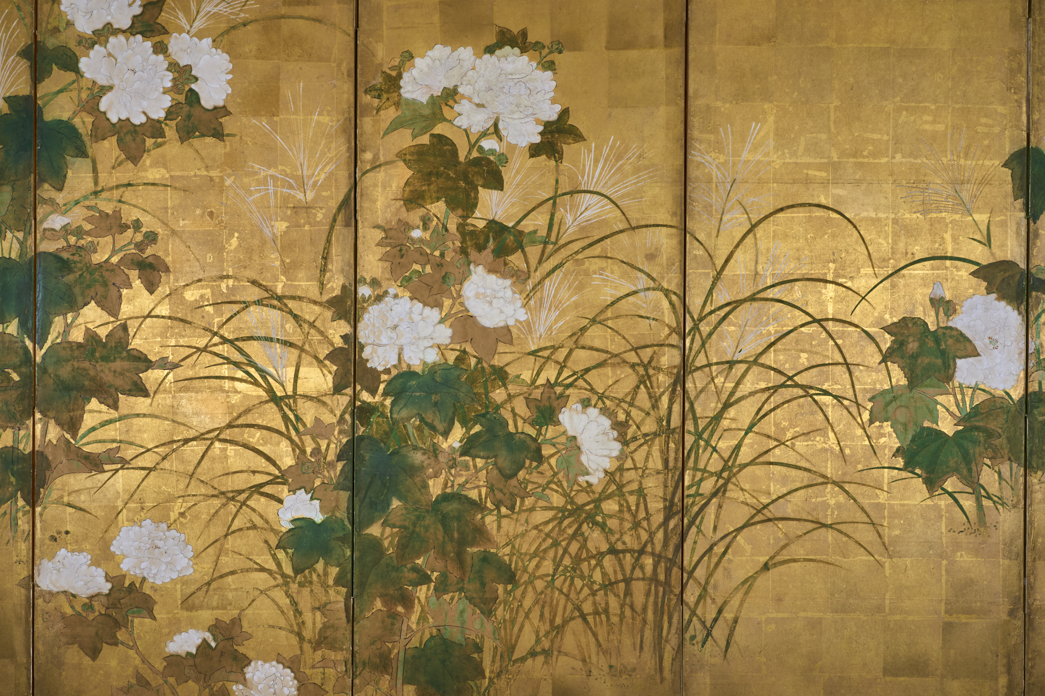 Japanese Six Panel Screen: Peony and Wild Grasses on Gold