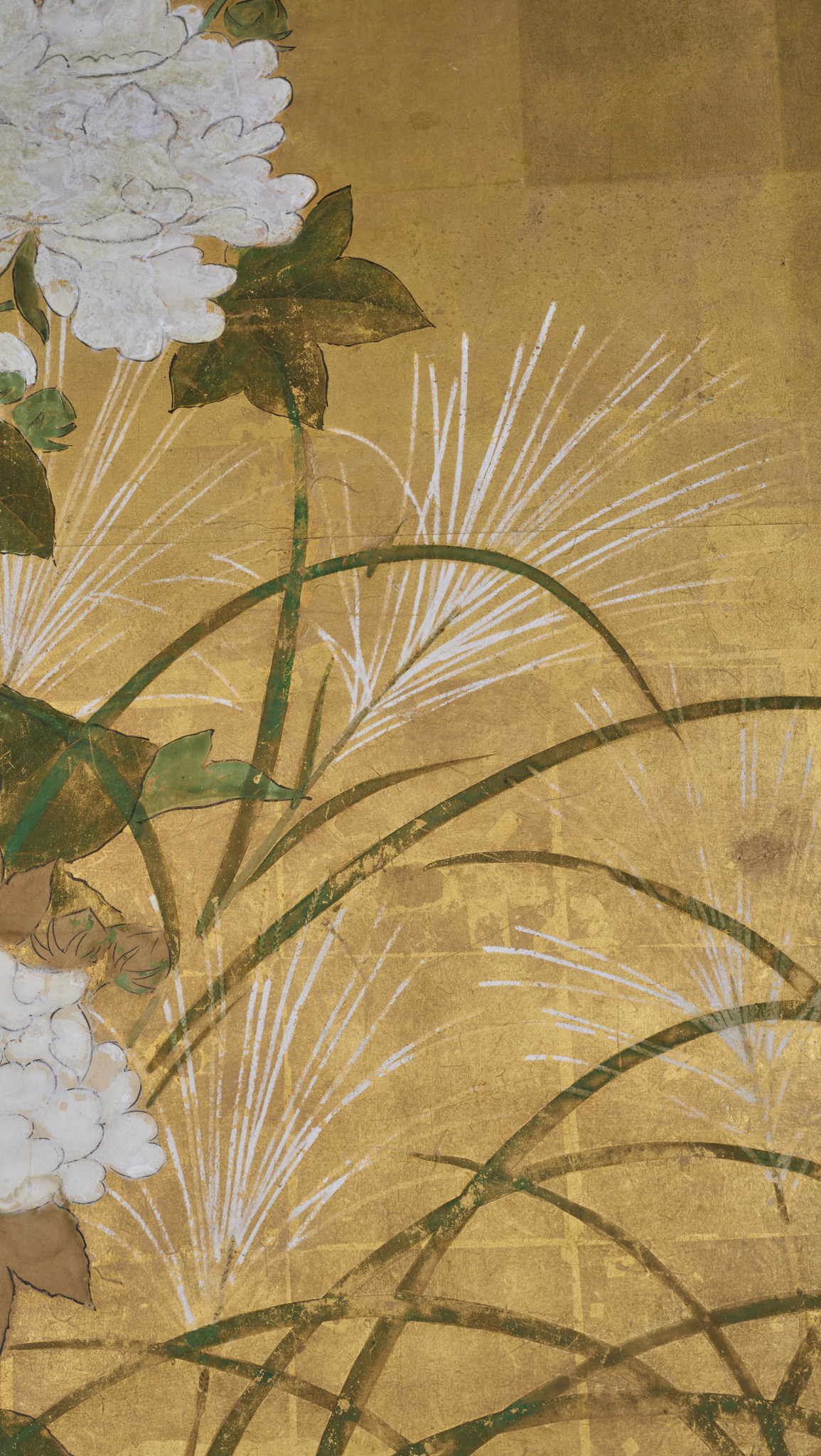 Japanese Six Panel Screen: Peony and Wild Grasses on Gold