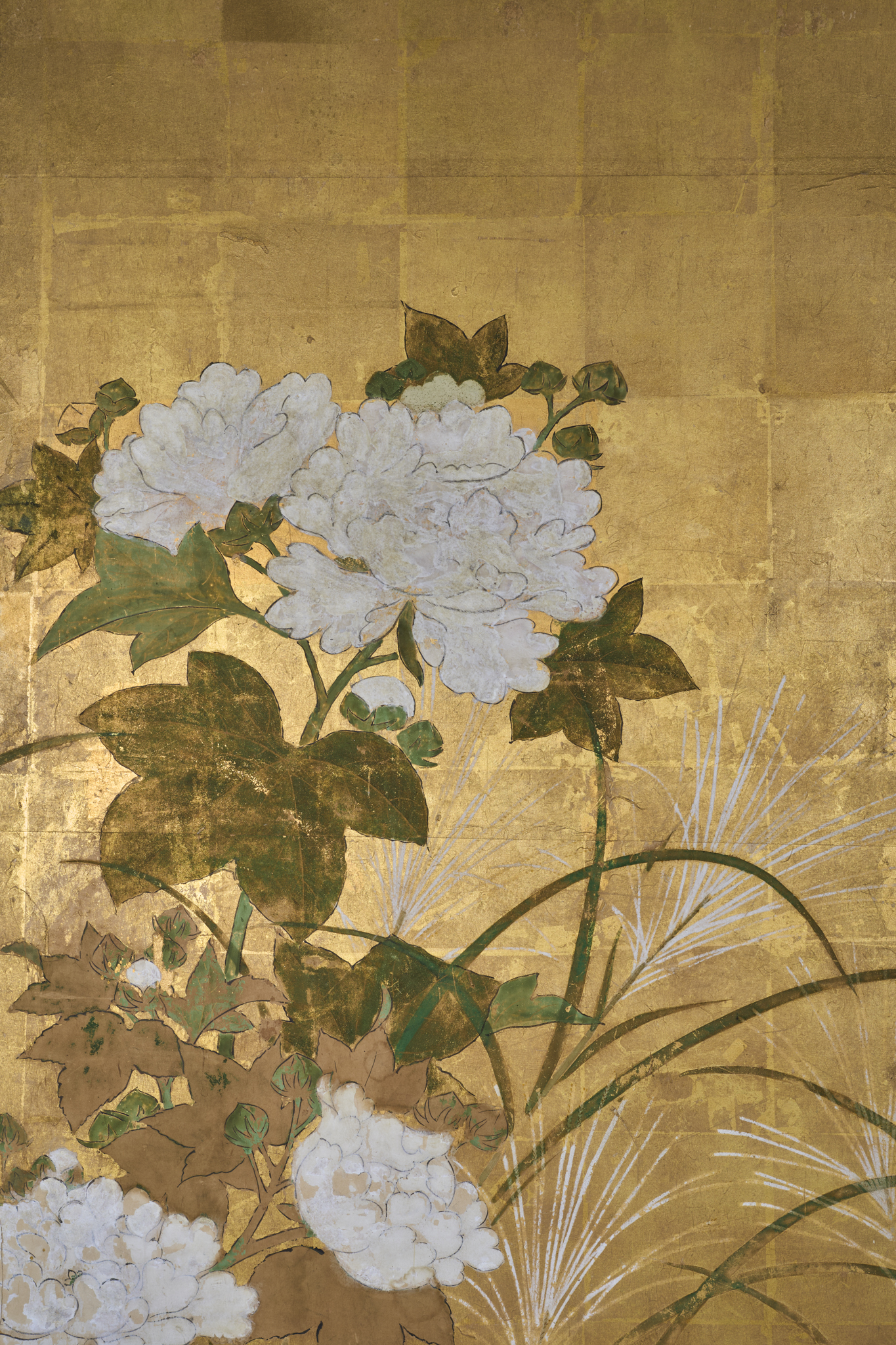 Japanese Six Panel Screen: Peony and Wild Grasses on Gold