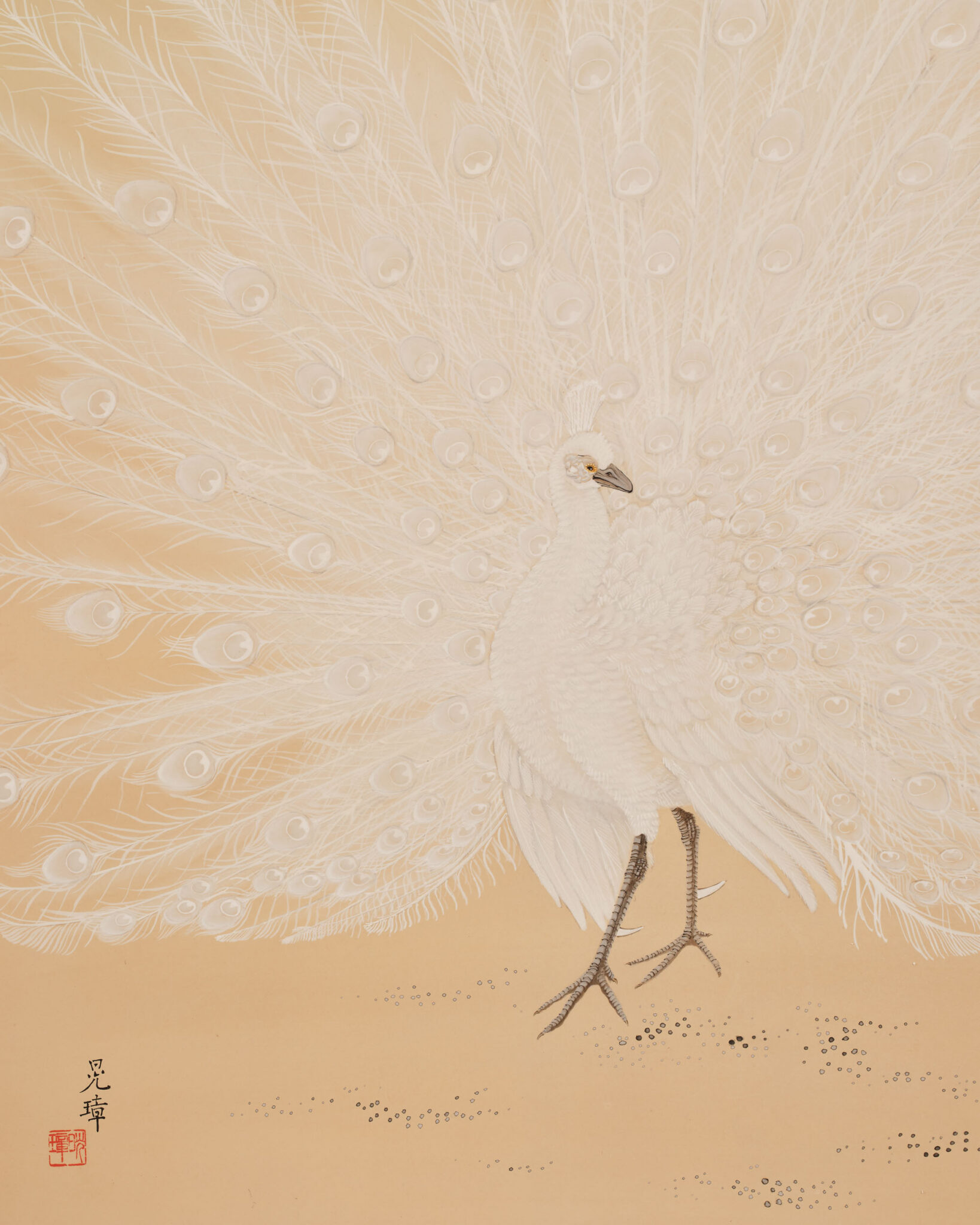 Japanese Two Panel Screen: White Peafowl in Courtship Display