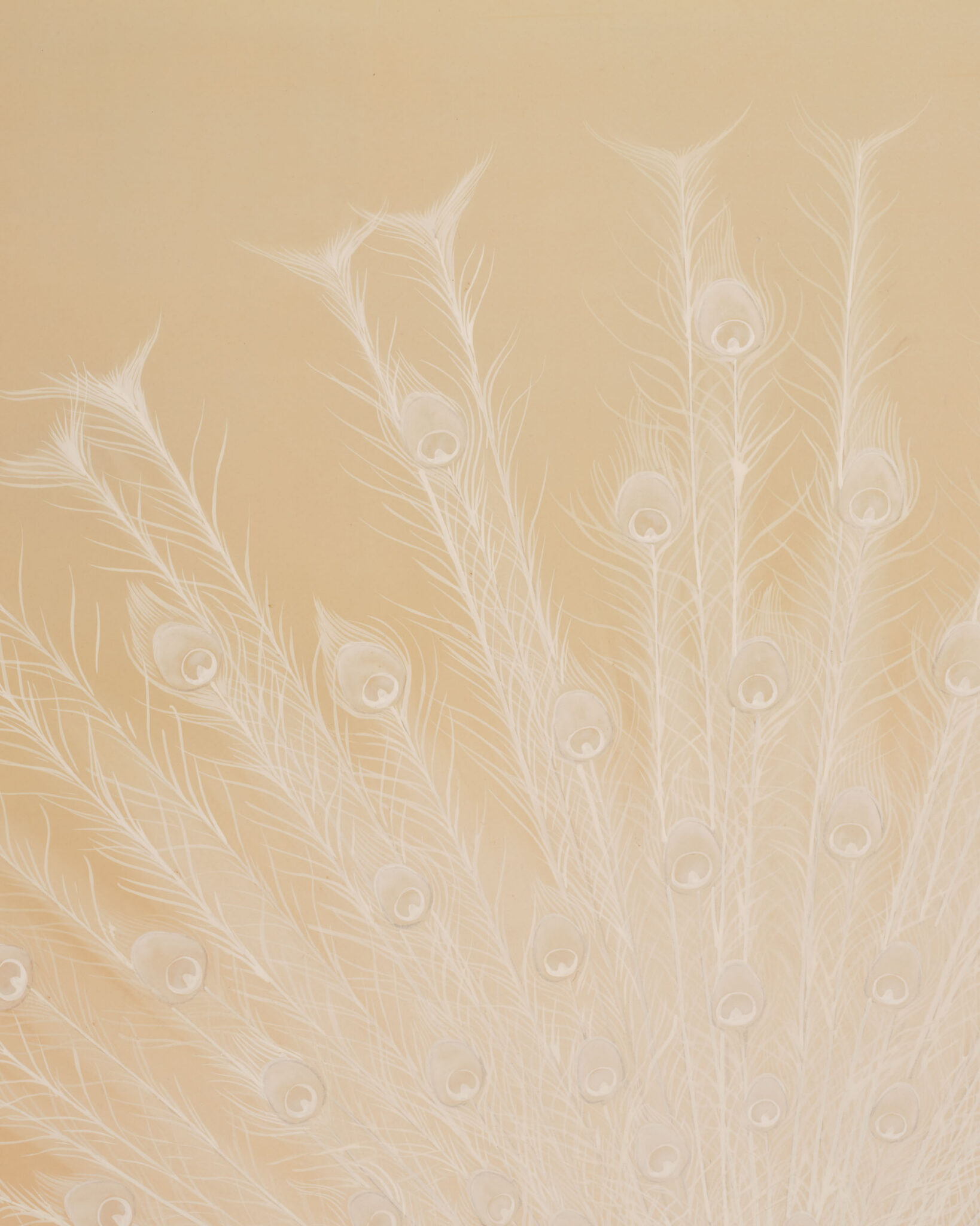Japanese Two Panel Screen: White Peafowl in Courtship Display