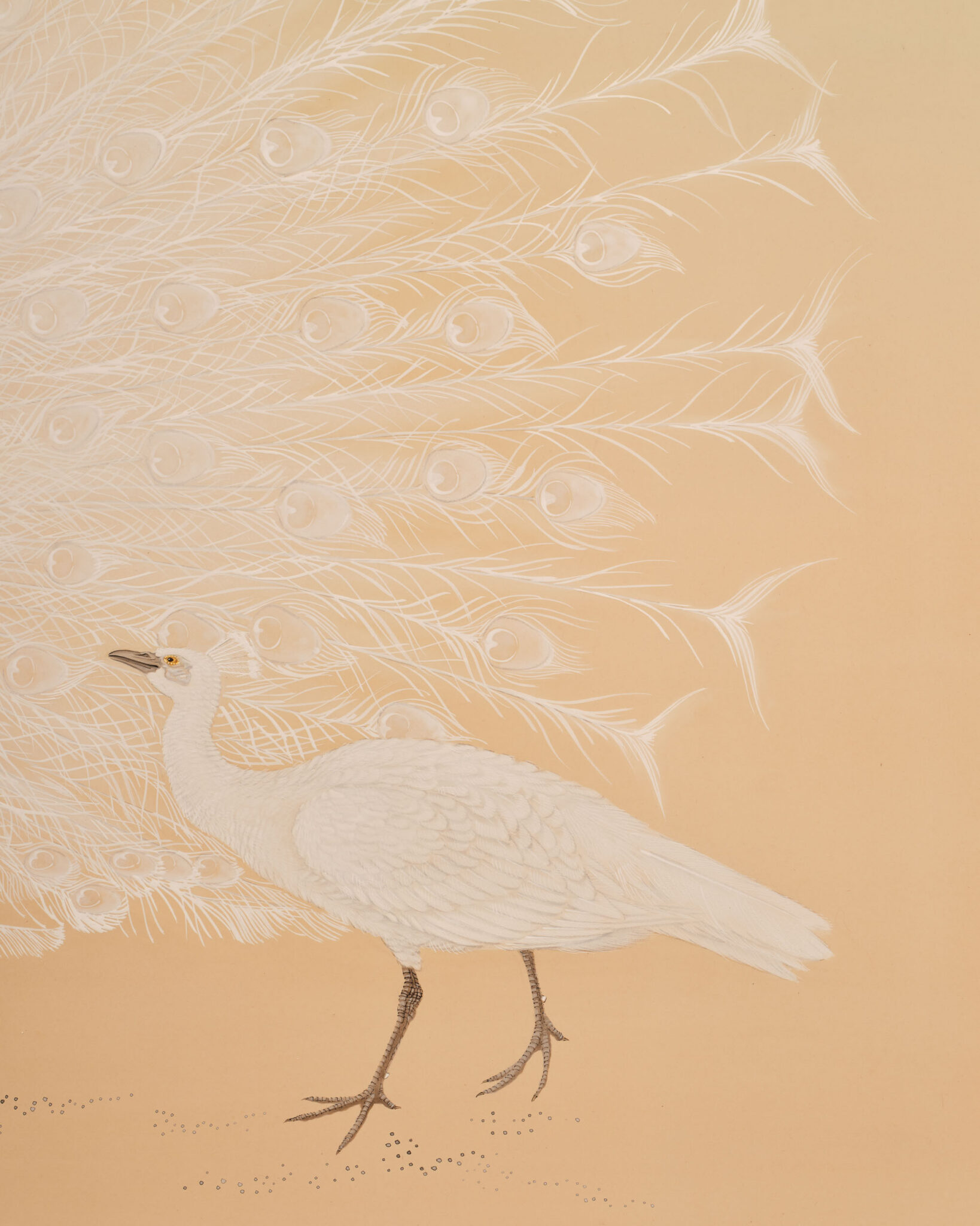 Japanese Two Panel Screen: White Peafowl in Courtship Display