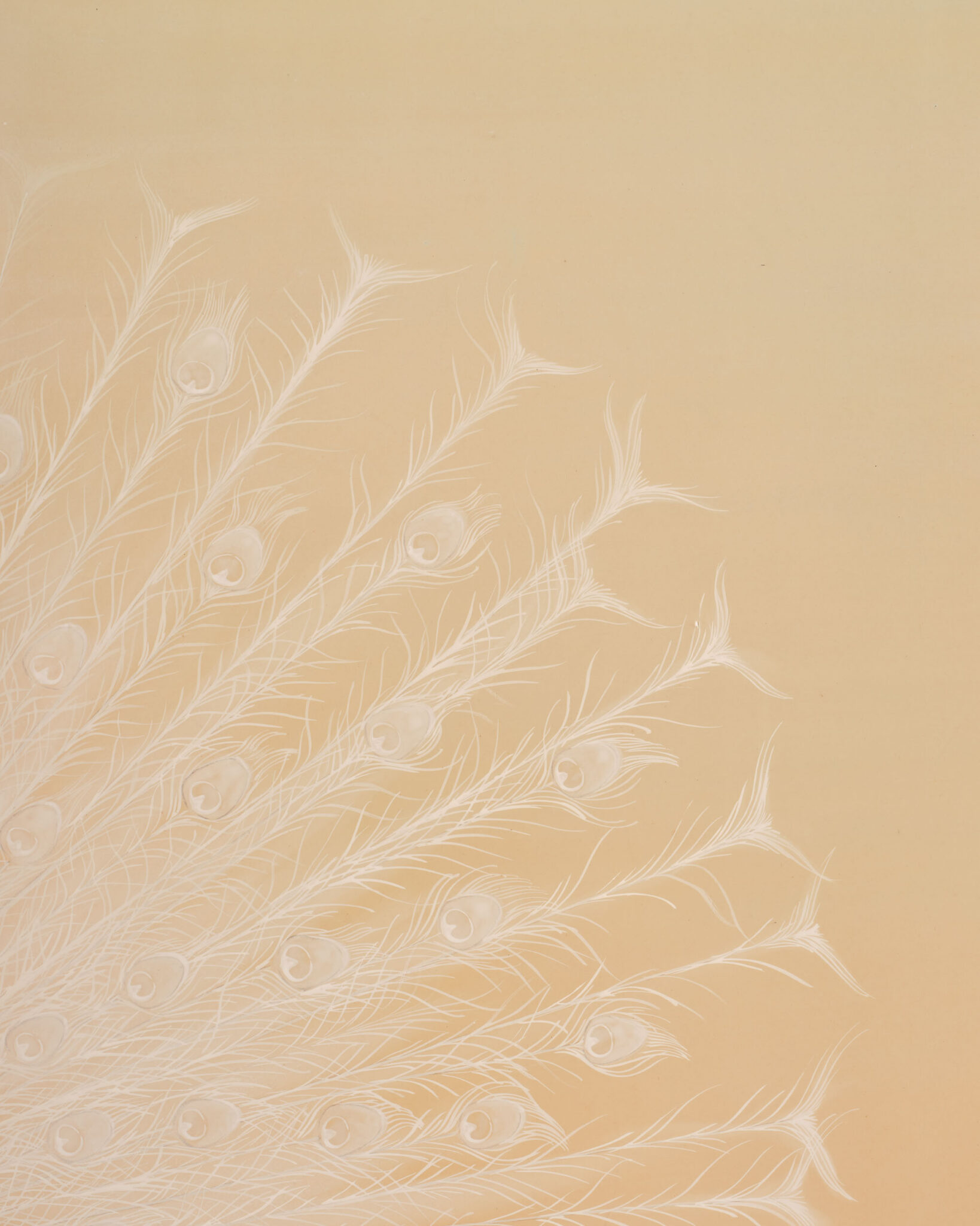 Japanese Two Panel Screen: White Peafowl in Courtship Display