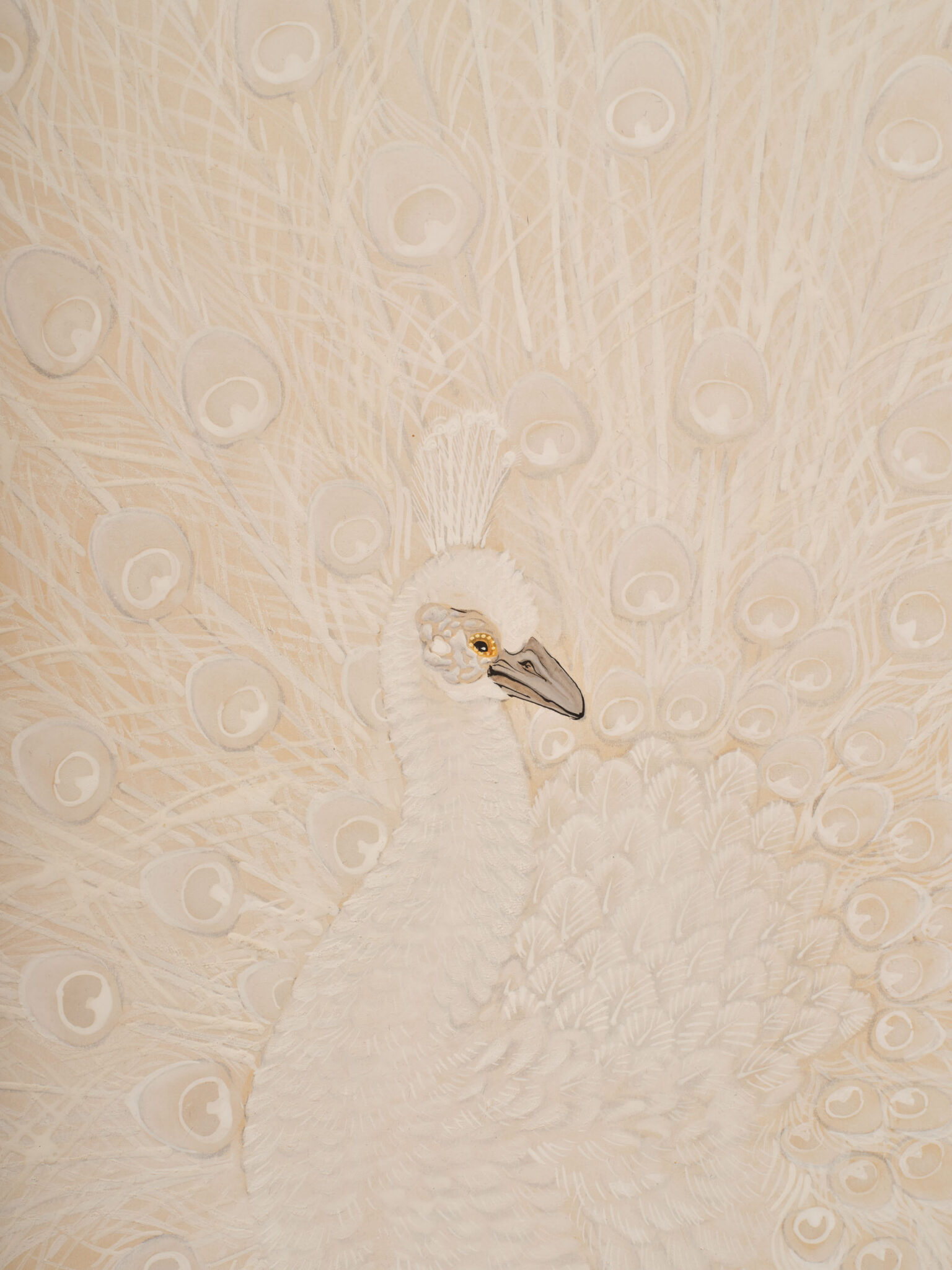 Japanese Two Panel Screen: White Peafowl in Courtship Display