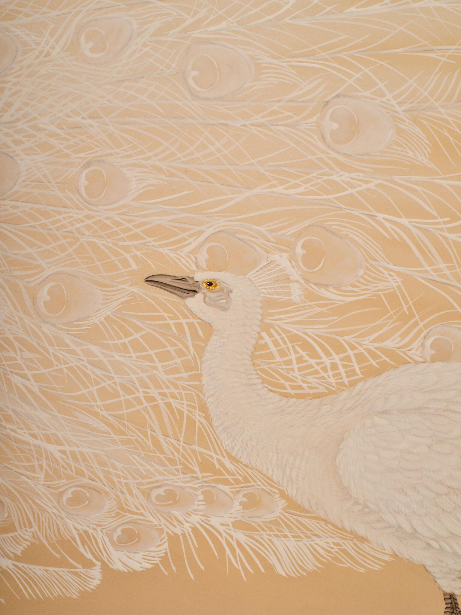 Japanese Two Panel Screen: White Peafowl in Courtship Display