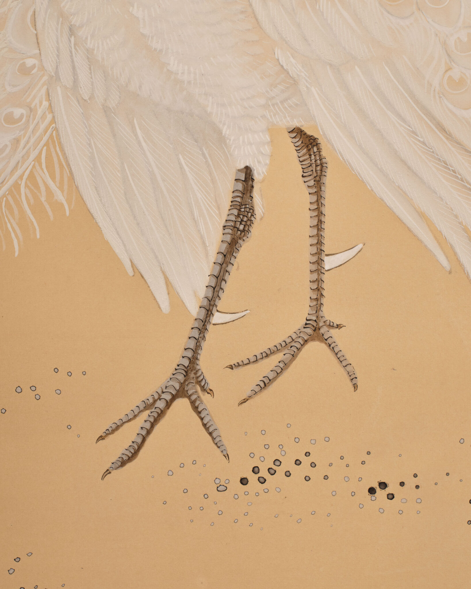 Japanese Two Panel Screen: White Peafowl in Courtship Display