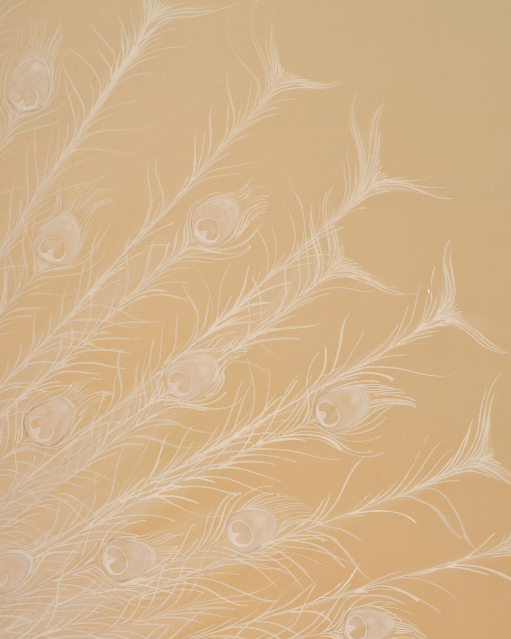 Japanese Two Panel Screen: White Peafowl in Courtship Display