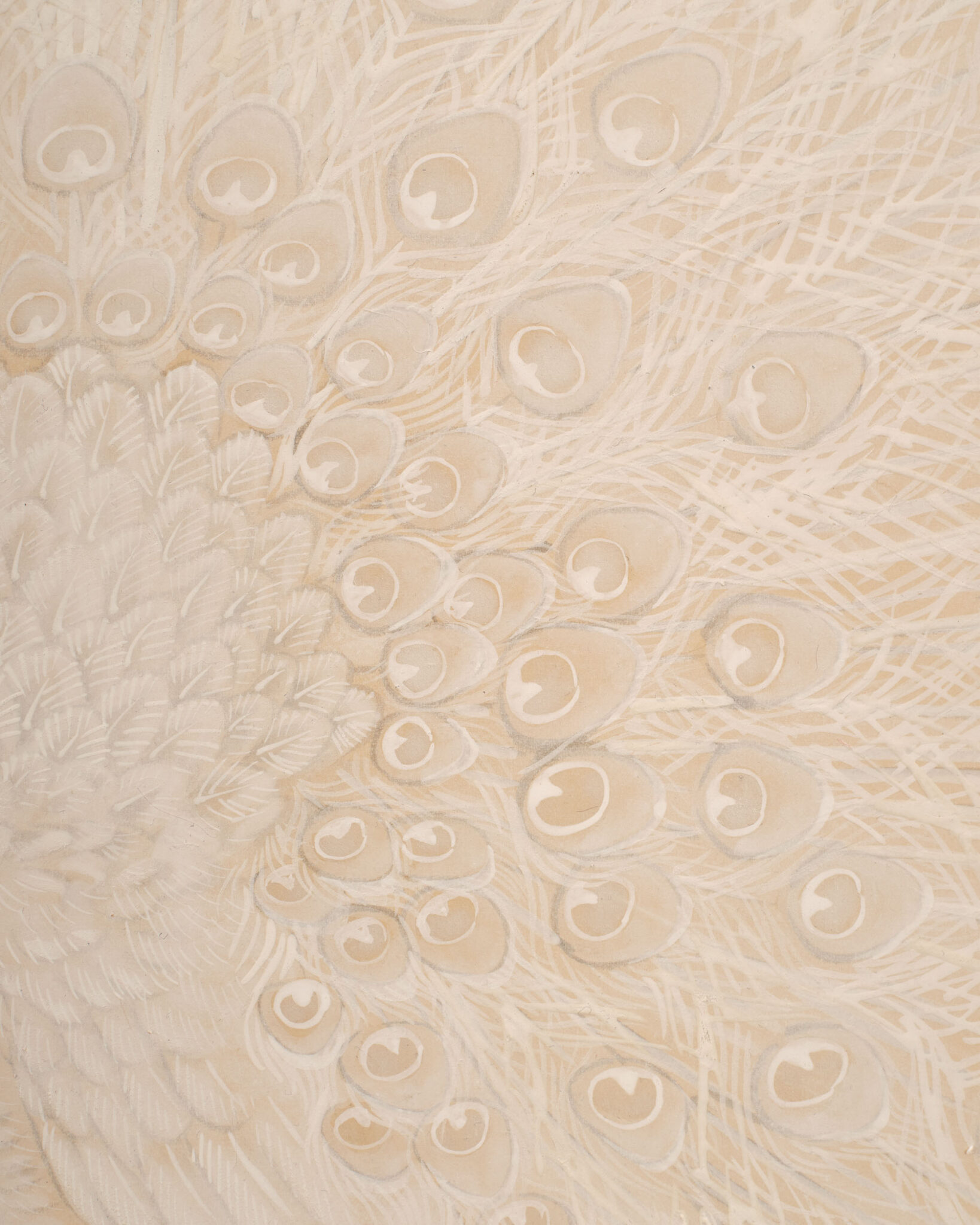 Japanese Two Panel Screen: White Peafowl in Courtship Display