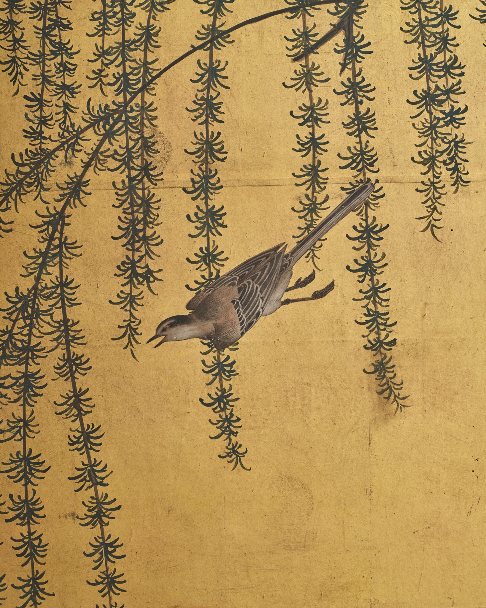 Japanese Two-Panel Screen: Early Summer Willow