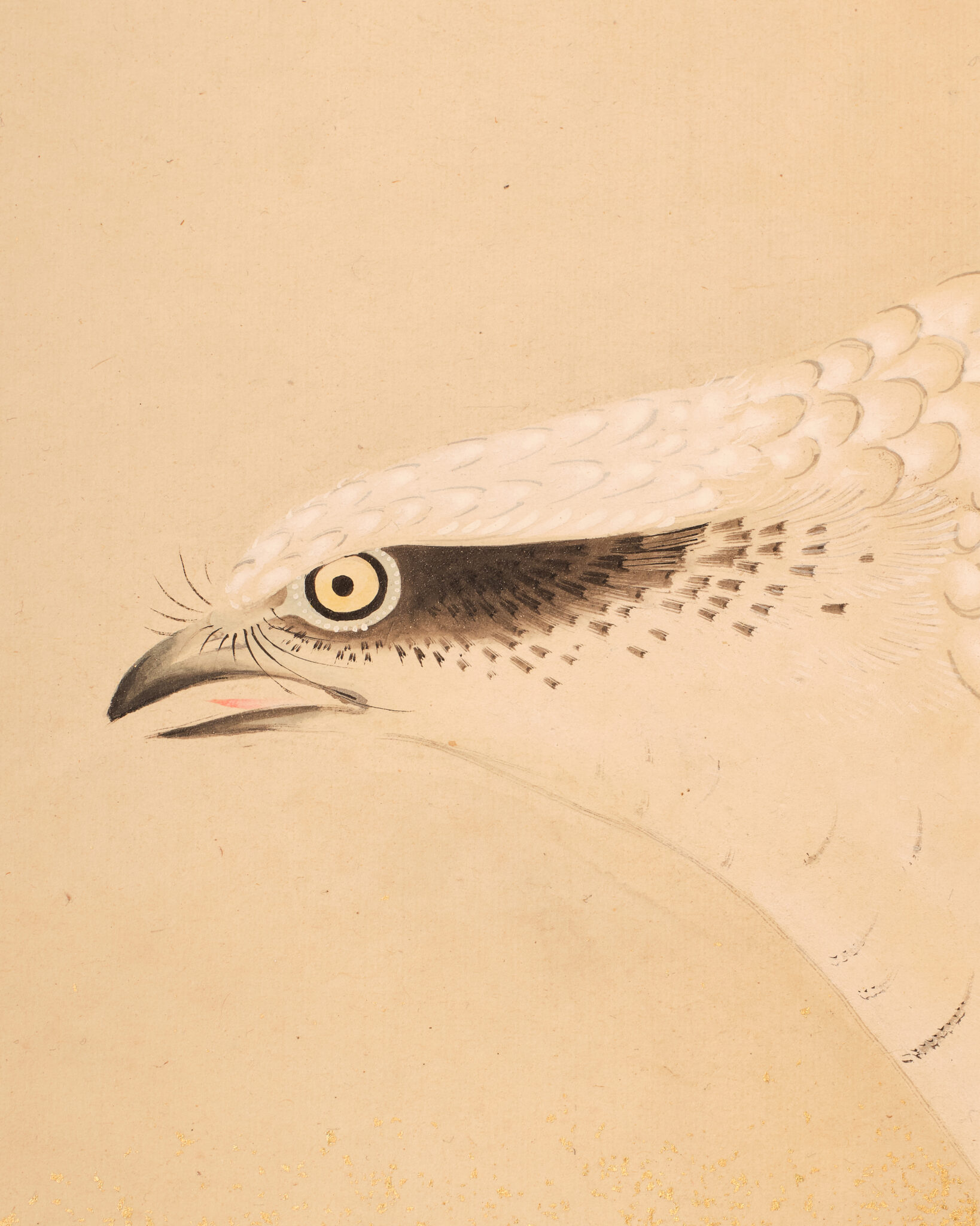Japanese Two-Panel Screen: Sea Hawk by Watanabe Kiyoshi