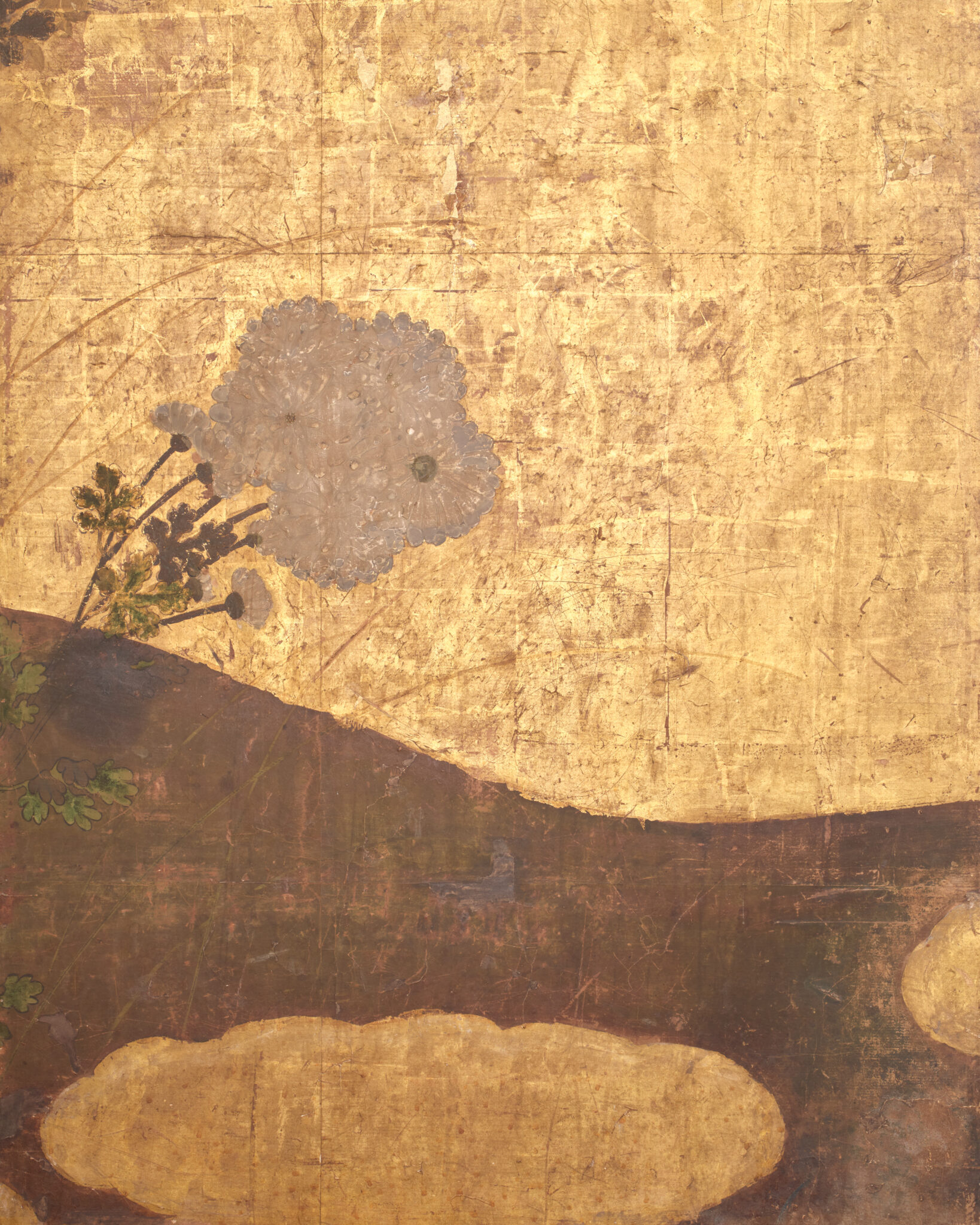 Japanese Six-Panel Screen: Chrysanthemums (Kiku) on Gold Leaf