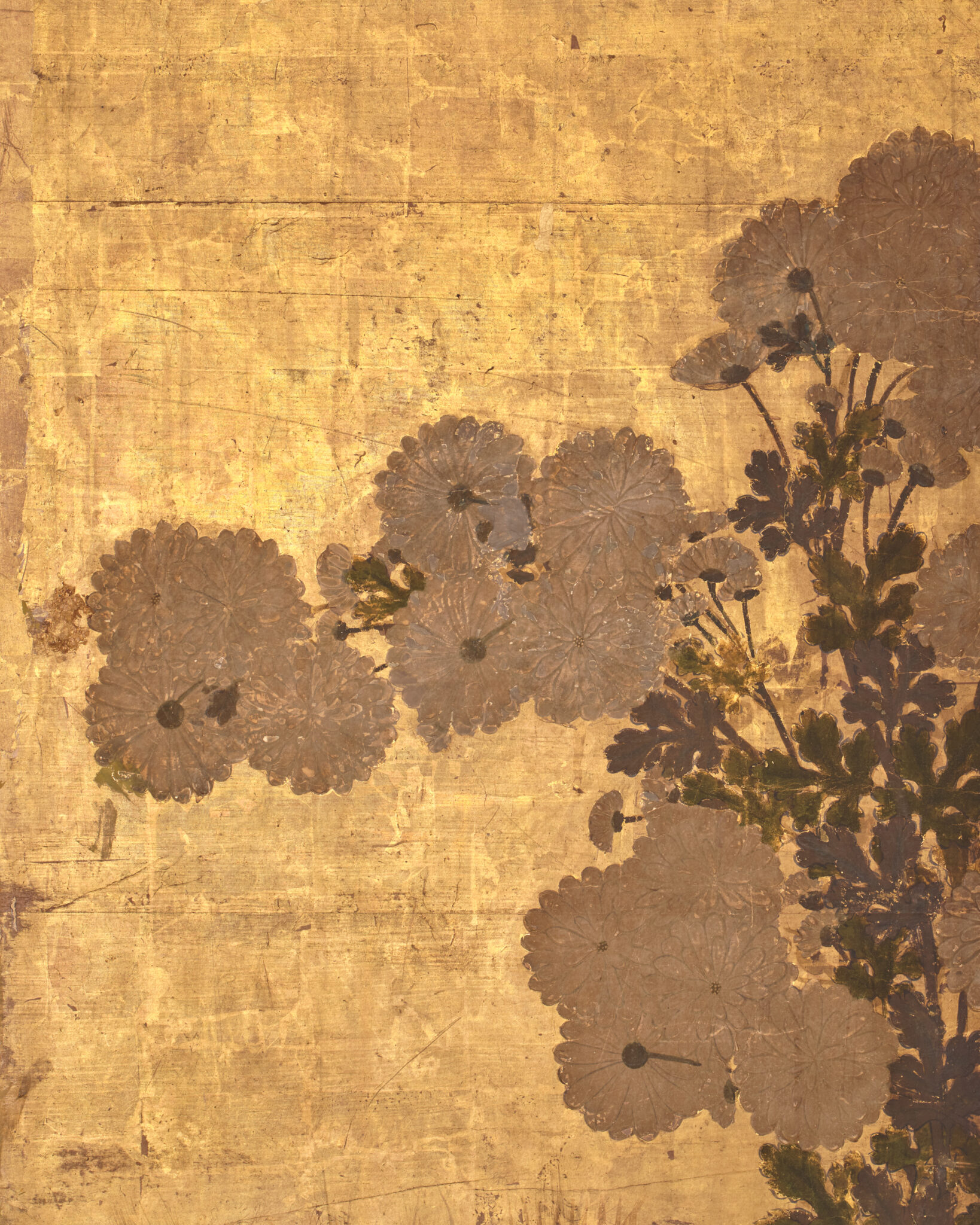 Japanese Six-Panel Screen: Chrysanthemums (Kiku) on Gold Leaf